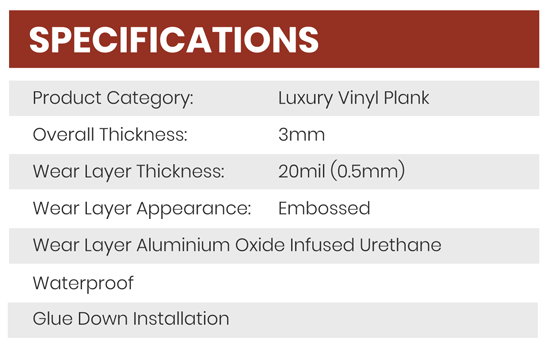 specs-contemp specs-contemp